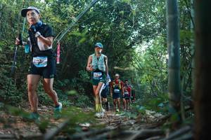 BIB: 
                            <button type="button" onclick="openModal(28024417)" class="btn btn-primary btn-sm float-right btn-popup" data-toggle="modal" data-target=".modal-high-quality">
                        <i class="fas fa-shopping-cart"></i> Add to Cart
                    </button>
                                            <button type="button" onclick="isThisMe(28024417, true)" class="btn btn-success btn-sm float-right btn-popup btn-isme hidden" data-toggle="tooltip" data-placement="bottom" title="นี่คือรูปของคุณใช่ไหม คลิกที่นี่เพื่อเอาเข้าอัลบั้ม">
                        <i class="fas fa-plus"></i> Add to album
                    </button>
                    <button type="button" onclick="isThisMe(28024417, false)" class="btn btn-warning btn-sm float-right btn-popup btn-isnotme hidden">
                        <i class="fas fa-ban"></i> Remove from album
                    </button>